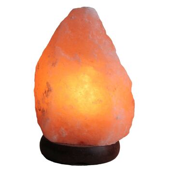 Lampe à sel de l'Himalaya 2-3kg environ 19x13cm (PAK001) 2