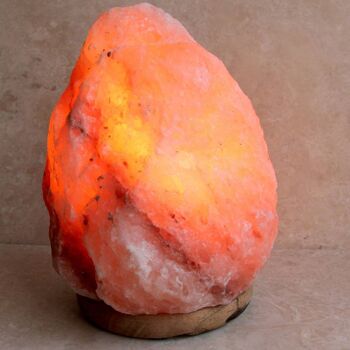 Lampe à sel de l'Himalaya 9-12kg environ 31x22cm (PAK004) 2