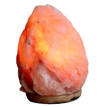 Lampe à sel de l'Himalaya 9-12kg environ 31x22cm (PAK004) 3