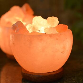Lampe bol de sel de l'Himalaya avec copeaux de sel environ 15x14cm (PAK007) 2