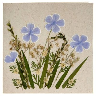 Handmade greetings card, 4 blue flowers in wild (SAL1903)
