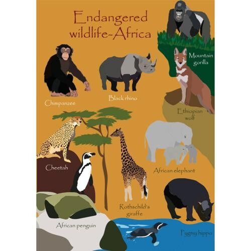 Greetings card Endangered Wildlife Africa 12x17cm (SEC031)
