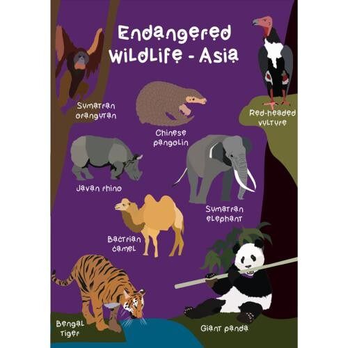 Greetings card Endangered Wildlife Asia 12x17cm (SEC032)