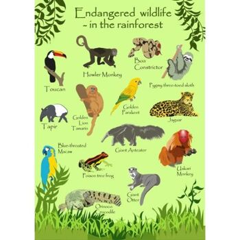 Carte de voeux Endangered Wildlife Rainforest 12x17cm (SEC033) 1