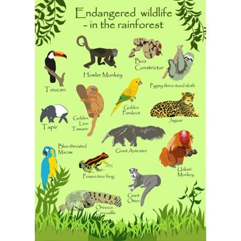 Carte de voeux Endangered Wildlife Rainforest 12x17cm (SEC033) 2