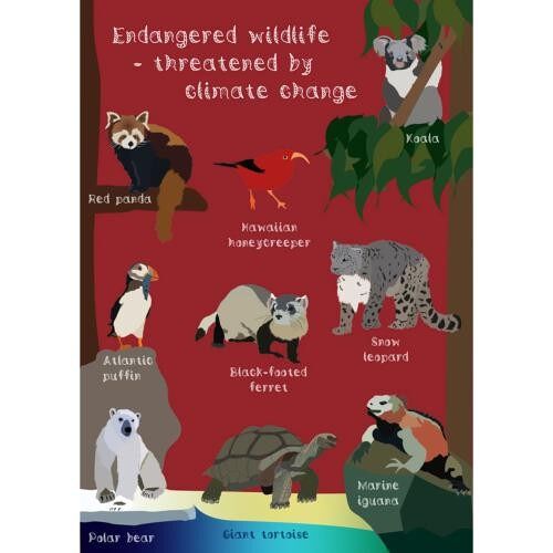 Greetings card Endangered Wildlife Climate Change 12x17cm (SEC036)