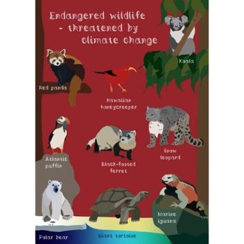 Carte de voeux Endangered Wildlife Climate Change 12x17cm (SEC036) 1