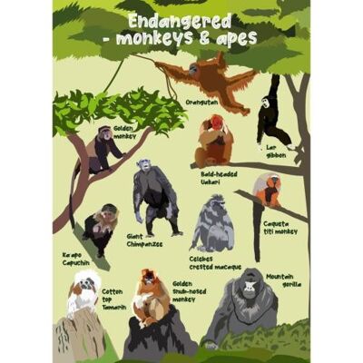 Greetings card Endangered Wildlife Monkeys & Apes 12x17cm (SEC037)