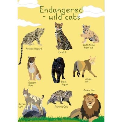 Greetings card Endangered Wildlife Wild Cats 12x17cm (SEC038)