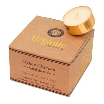 12 bougies parfumées t-lite, Organic Goodness, Mysore Chandan Sandalwood (SONG287) 1
