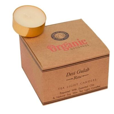 12 t-lite scented candles, Organic Goodness, Desi Gulab Rose (SONG288)