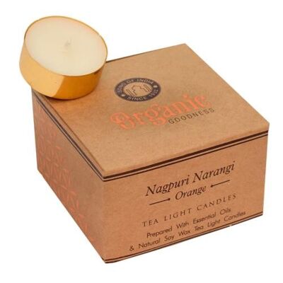 12 t-lite scented candles, Organic Goodness, Nagpuri Narangi Orange (SONG291)