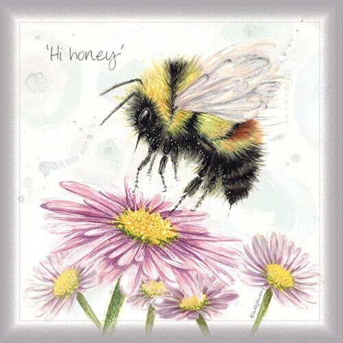 Greetings card, hi honey (SWE002)