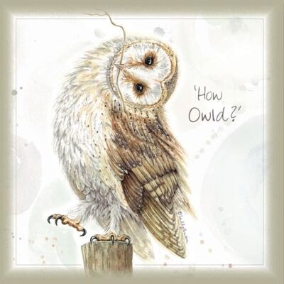 Greetings card, How Owld? (SWE003)