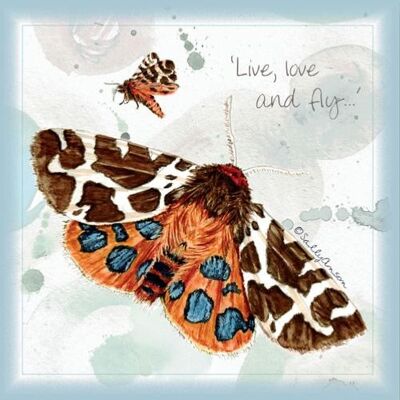 Greetings card, live love and fly (SWE005)