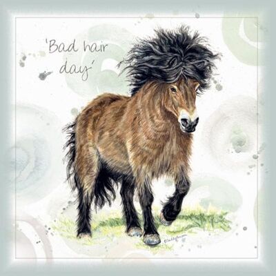 Greetings card, bad hair day (SWE011)