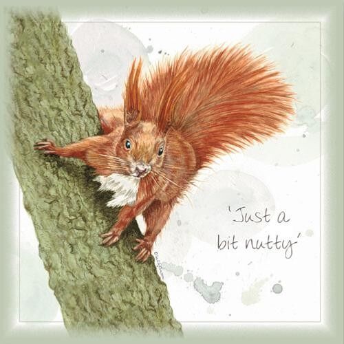 Greetings card, just a bit nutty (SWE013)