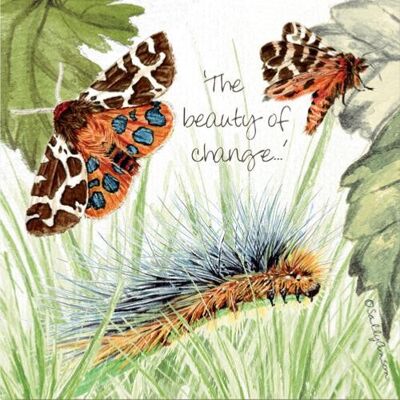 Greetings card, garden tiger moth (SWE018)