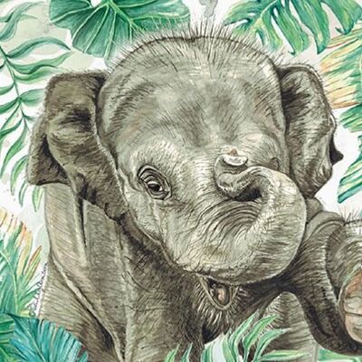 Greetings card, Asian elephant (SWE032)