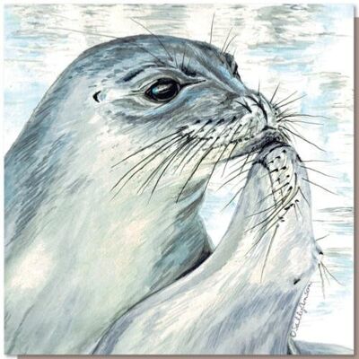 Greetings card, kissing seals (SWE036)