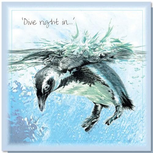 Greetings card, dive right in (SWE045)
