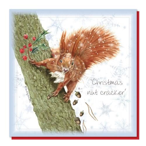 Christmas card, red squirrel (SWECX013)