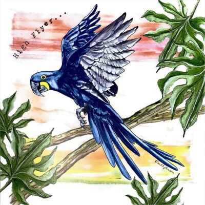 Greetings card, hyacinth macaw (SWESAR007)