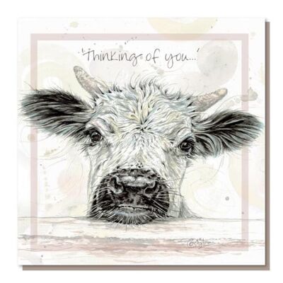 Greetings card, white park calf, "Thinking of you" (SWRB005)