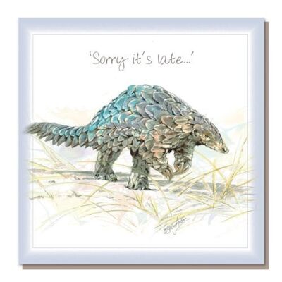 Greetings card, "Sorry it's late", pangolin (SWSEC036)