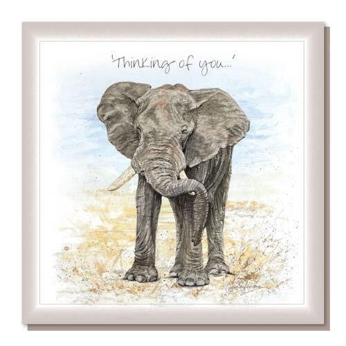 Greetings card, "Thinking of you", Ron’s Elephant (SWSEC049)