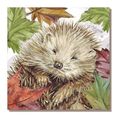 Greetings card, hedgehog (SWSJB011)