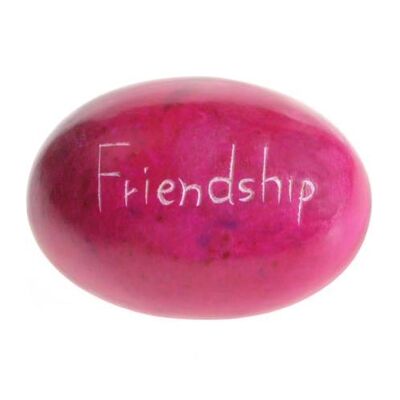 Palewa sentiment pebble, pink - Friendship (TAR1878)
