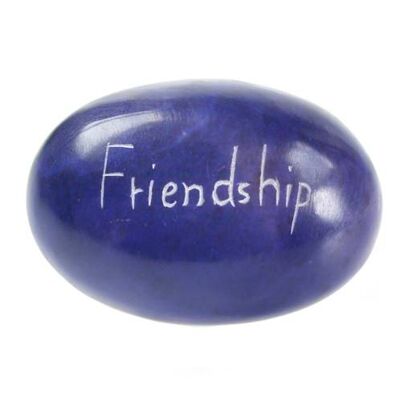 Palewa sentiment pebble, blue - Friendship (TAR1879)