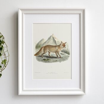 Renard avec impression d'art de taille Mountain A5, décor nature 1