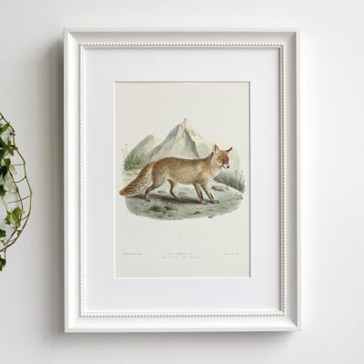 Fox with Mountain A5 size art print, nature decor