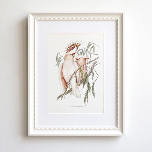 Cockatoo A5 size art print, tropical parrot decor