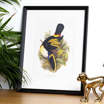 Impression d'art de taille Toucans A5, décor de jungle 2