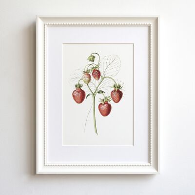 Strawberries A5 size art print, fruit kitchen decor