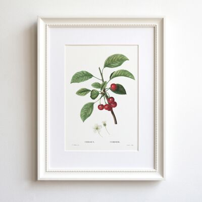 Cherries A5 size art print, vintage kitchen decor