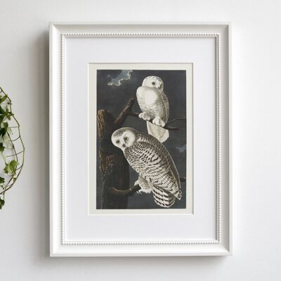 Snow Owl A5 size art print, elegant decor