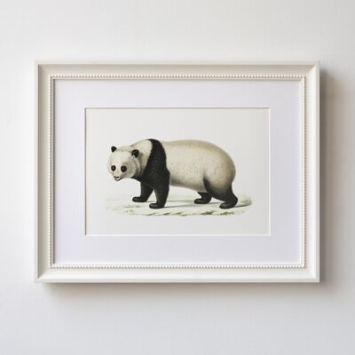 Panda A5 size art print