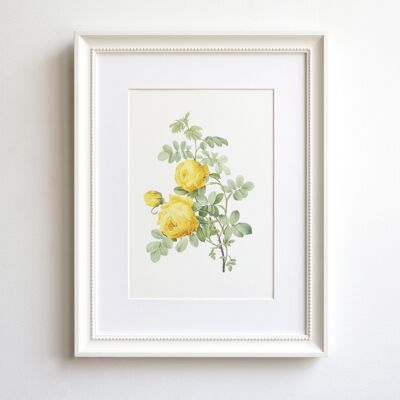 Yellow Rose A5 size print, vintage floral decor