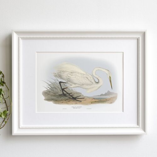 Great Egret A5 size art print, nature decor