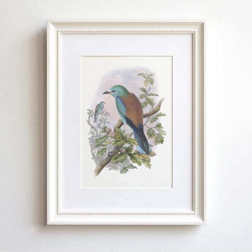 European Roller A5 size art print, local bird decor