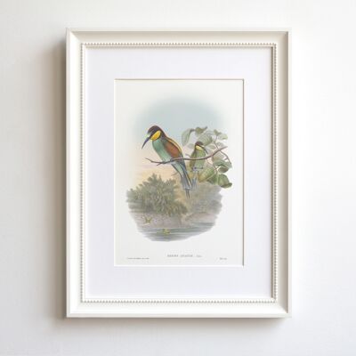 Bee-Eater A5 size art print, nature decor