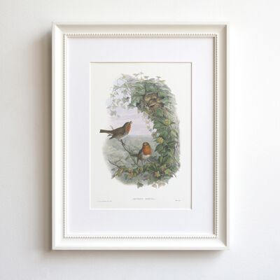 Robin A5 size art print, songbird decor