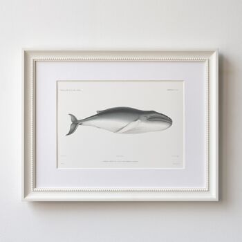 Impression d'art de taille A5 de baleine, décor d'océan 2