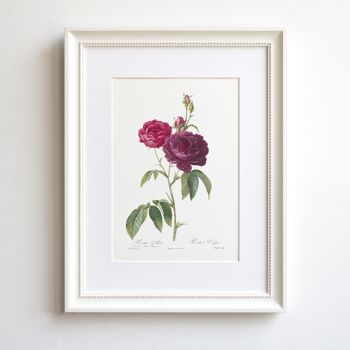Impression d'art Vintage Rose format A5, Eveque 2