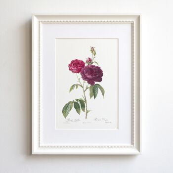 Impression d'art Vintage Rose format A5, Eveque 1