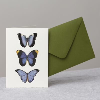 Morpho Butterflies Greeting Card+Envelope